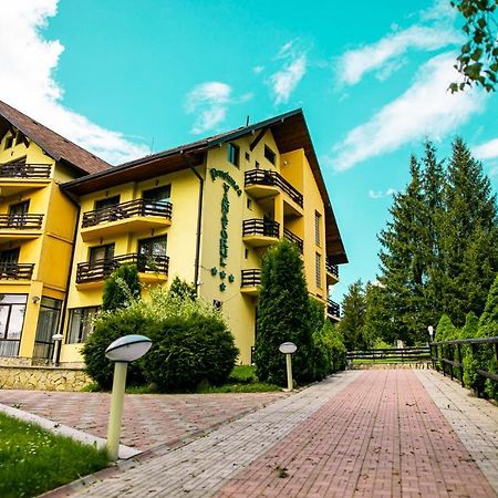 Pensiunea Vanatorul Vatra Dornei Zewnętrze zdjęcie